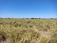 #5: Visão sul - south view