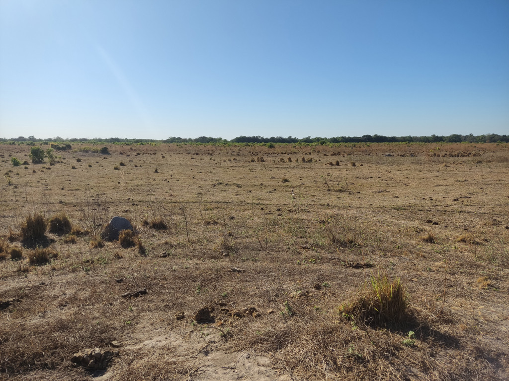 Visão geral - general view