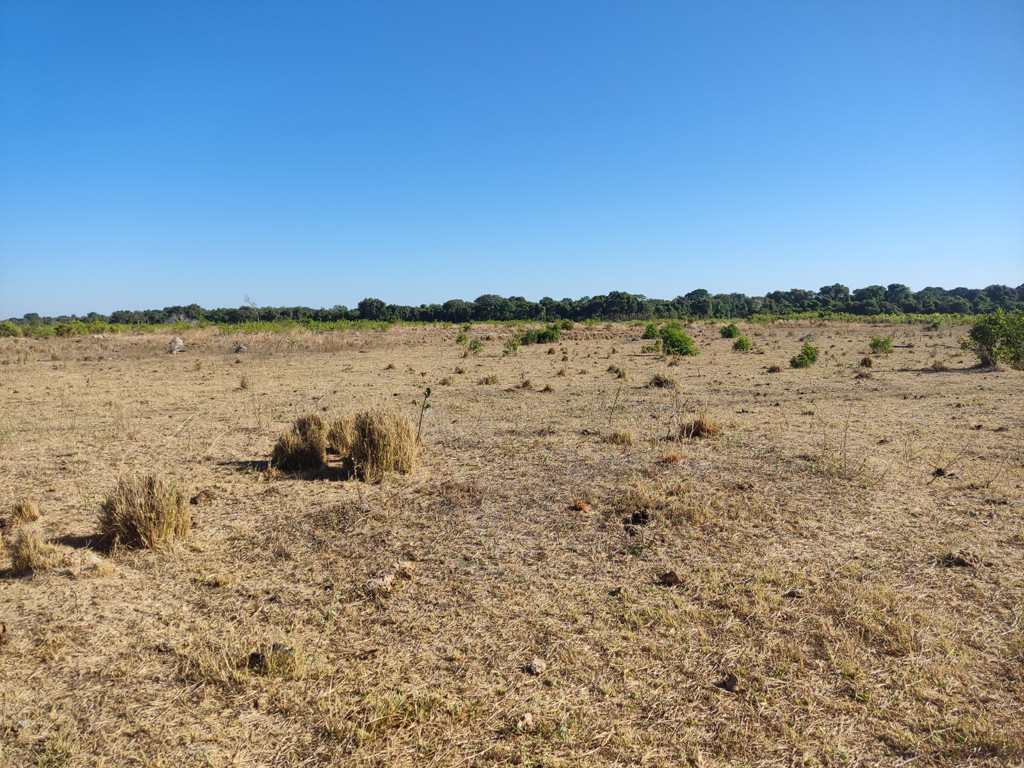 Visão norte - north view