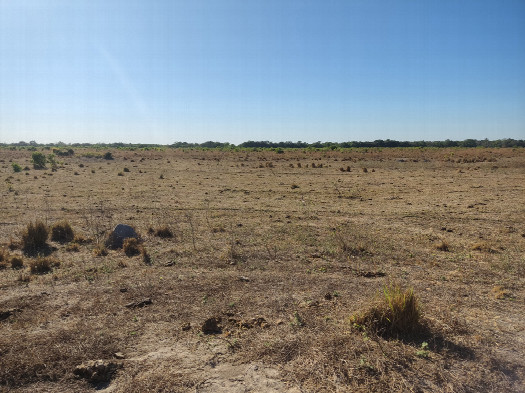 #1: Visão geral - general view