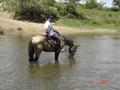 #8: Travessia a cavalo. Horse riding