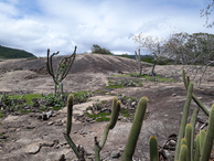 #8: Paisagem de pedras e cactus na região da confluência - landscape of stones and cacti in confluence region