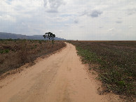 #9: Caminhada pela estrada de terra - hiking by the dirt road