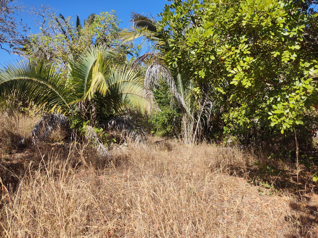 Vis&atilde;o geral - general view