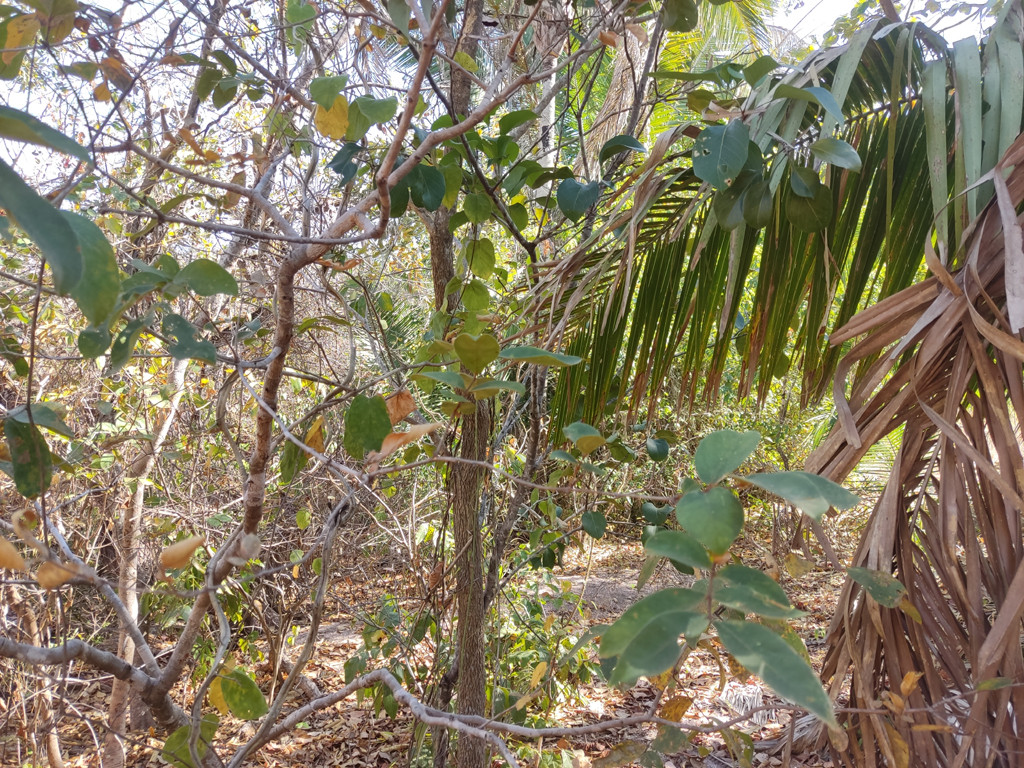 Vis&atilde;o norte - north view