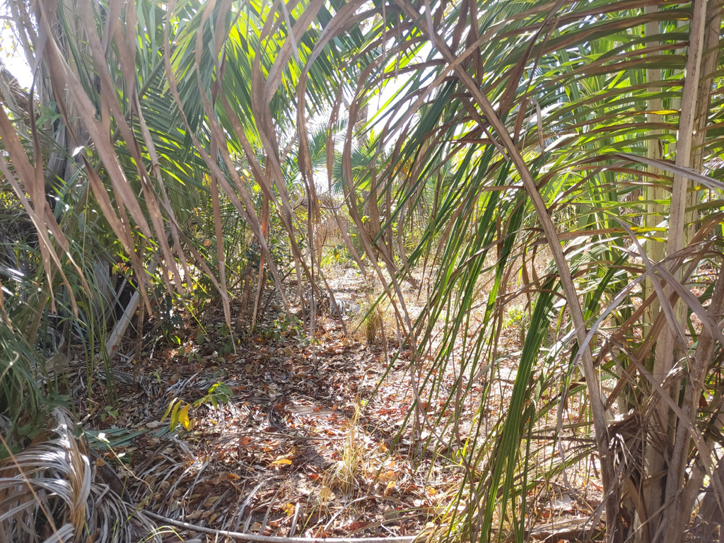 Vis&atilde;o leste - east view