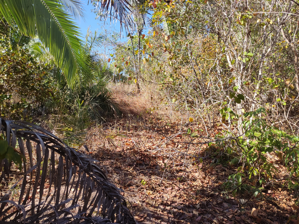 Vis&atilde;o sul - south view