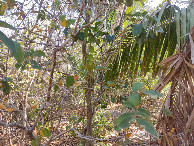 #3: Vis&atilde;o norte - north view