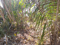 #4: Vis&atilde;o leste - east view