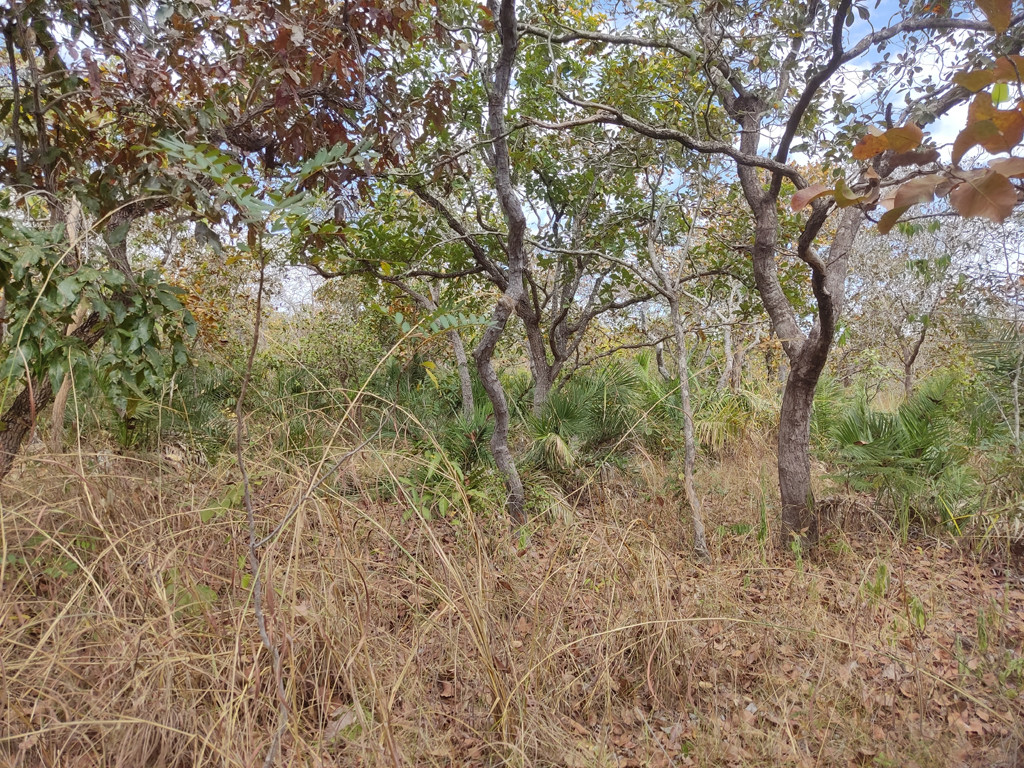 Visão geral - general view