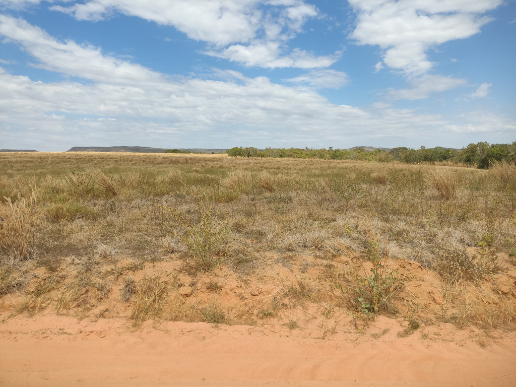 Confluência 300 metros adiante - confluence 300 meters ahead