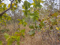 #4: Visão leste - east view