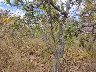 #5: Visão sul - south view