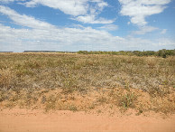 #7: Confluência 300 metros adiante - confluence 300 meters ahead