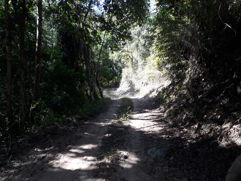 Belo trecho da caminhada - beautiful region of hiking