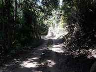 #12: Belo trecho da caminhada - beautiful region of hiking