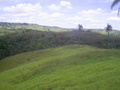#7: Confluência no fundo do vale, 360 metros adiante - confluence in the bottom of the valley, 360 meters ahead