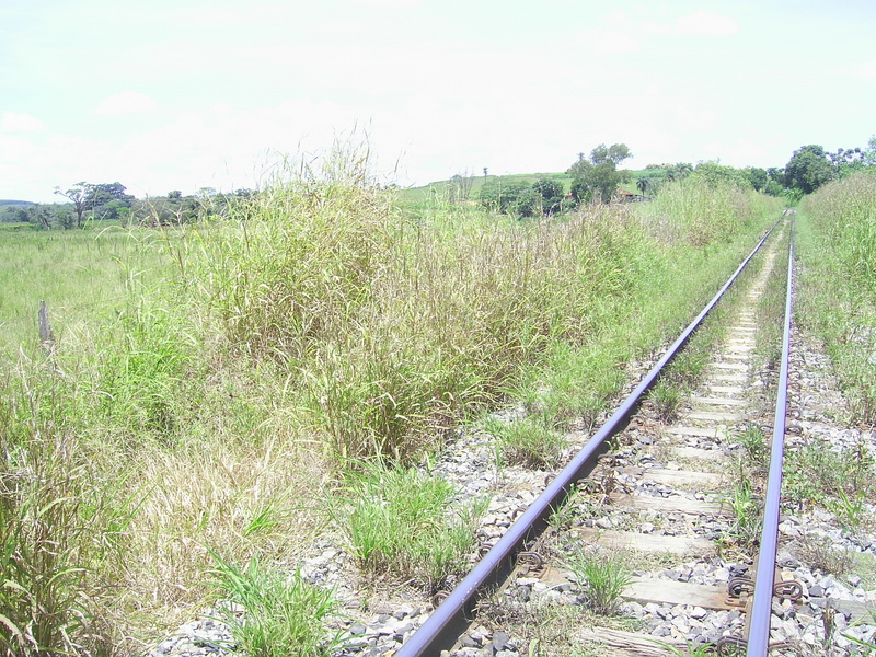 Linha de trem a 107 m da confluência - railway 107 m close to the confluence