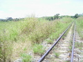 #8: Linha de trem a 107 m da confluência - railway 107 m close to the confluence