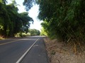 #5: Parei o carro a 800 metros da confluência - I stopped the car 800 meters to the confluence