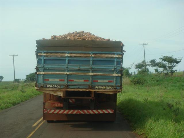 Carring manioc to a flour mill - Carregando mandioca p/ fabrica de farinha