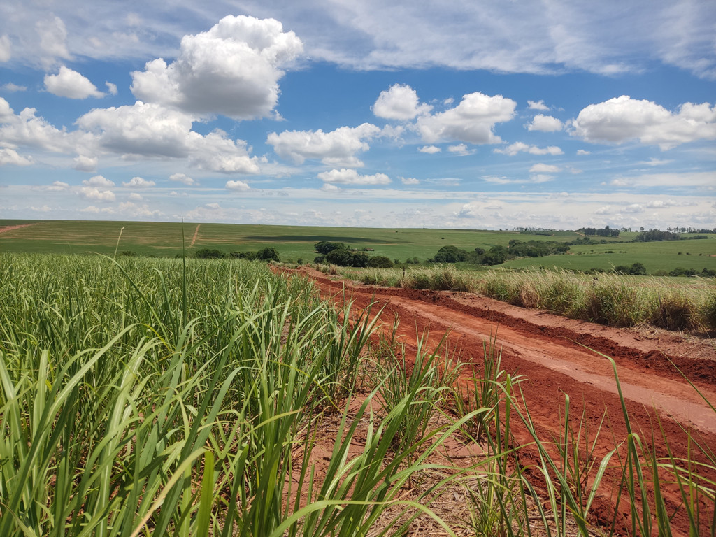 Vis&atilde;o geral - general view