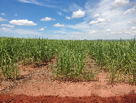 #2: Vis&atilde;o oeste - west view