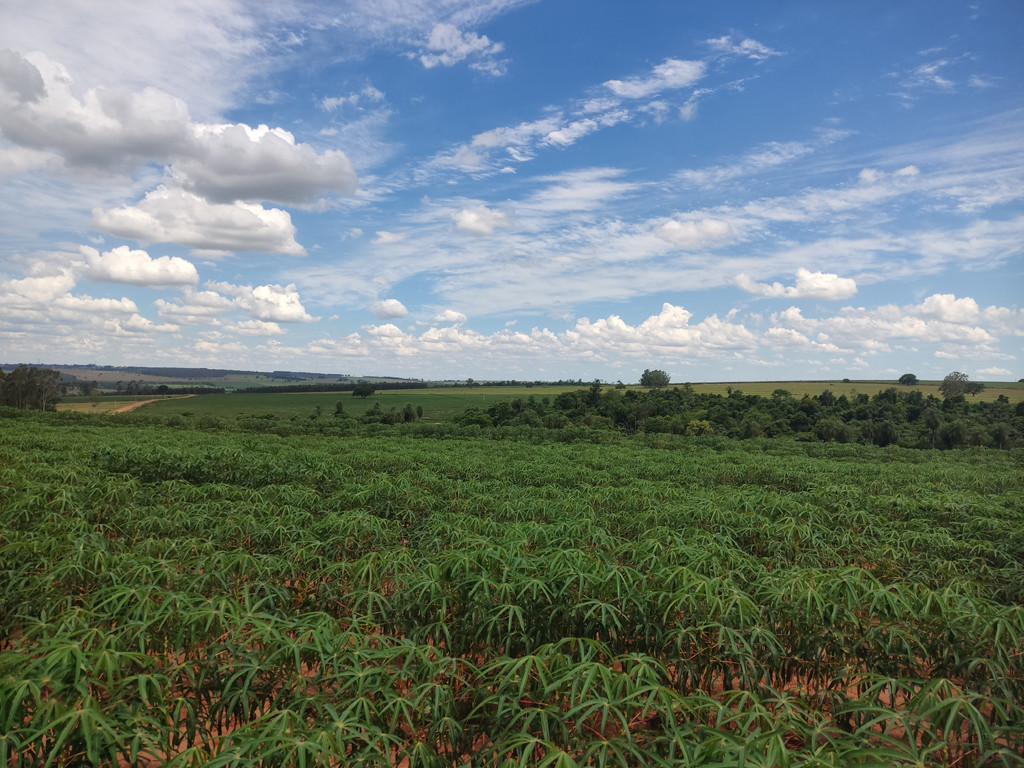 Vis&atilde;o sul - south view
