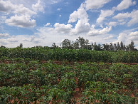 #3: Vis&atilde;o norte - north view