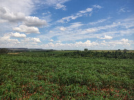 #5: Vis&atilde;o sul - south view