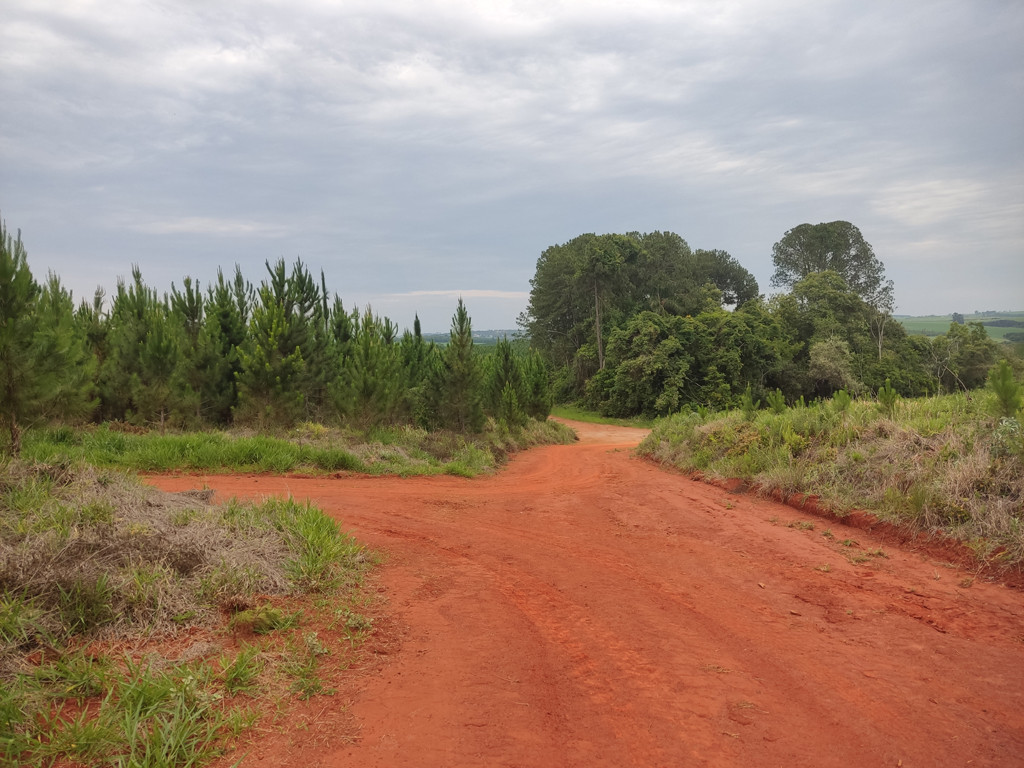 Vis&atilde;o oeste - west view