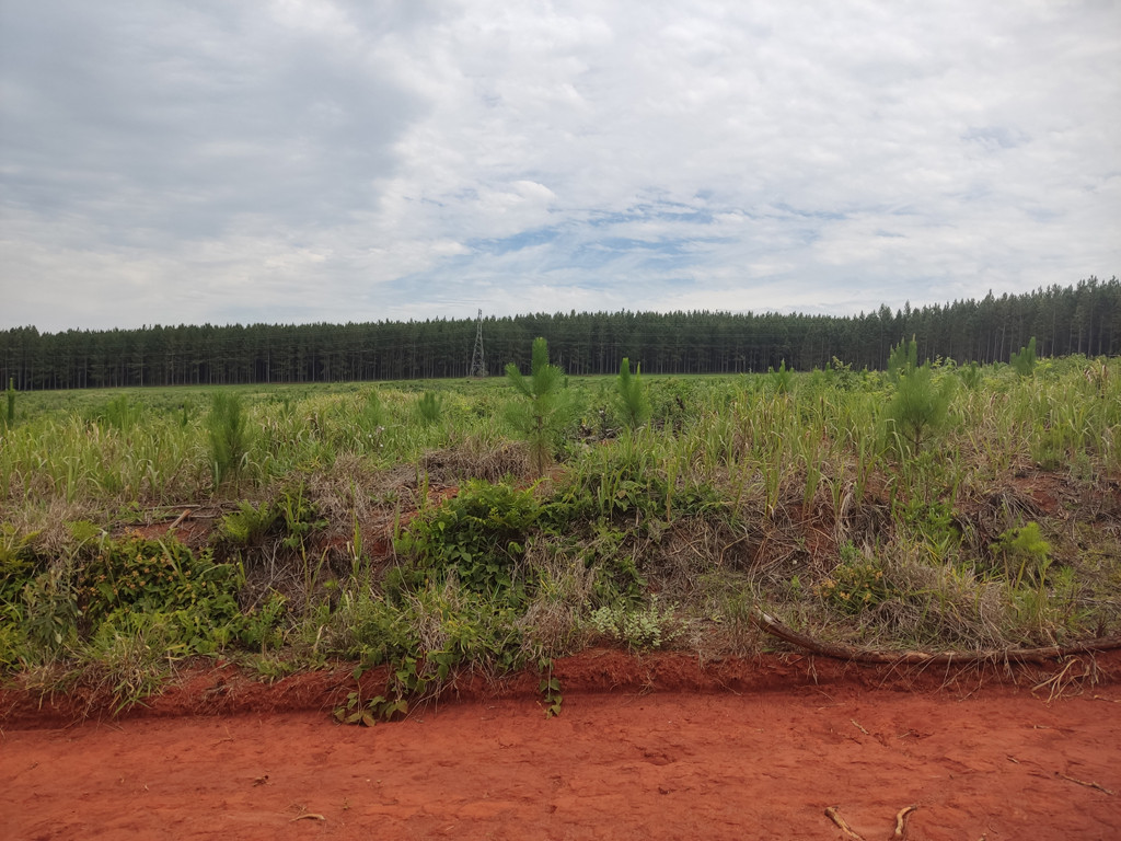 Vis&atilde;o norte - north view