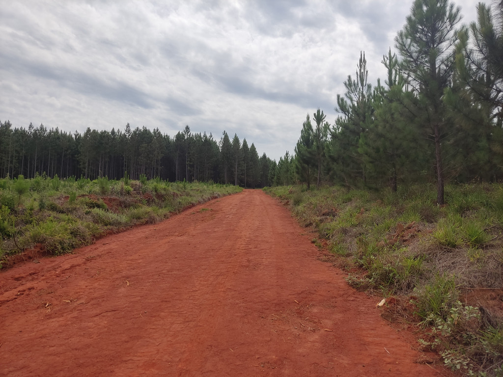 Vis&atilde;o leste - east view