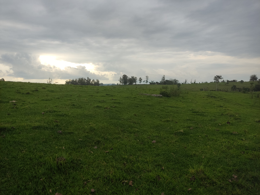 Vis&atilde;o oeste - west view