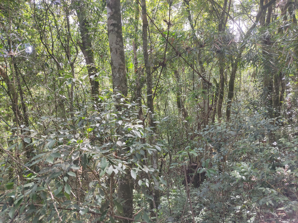 Vis&atilde;o oeste - west view