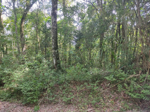 #1: Vis&atilde;o geral - general view