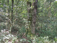 #3: Vis&atilde;o norte - north view