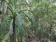 #4: Vis&atilde;o leste - east view