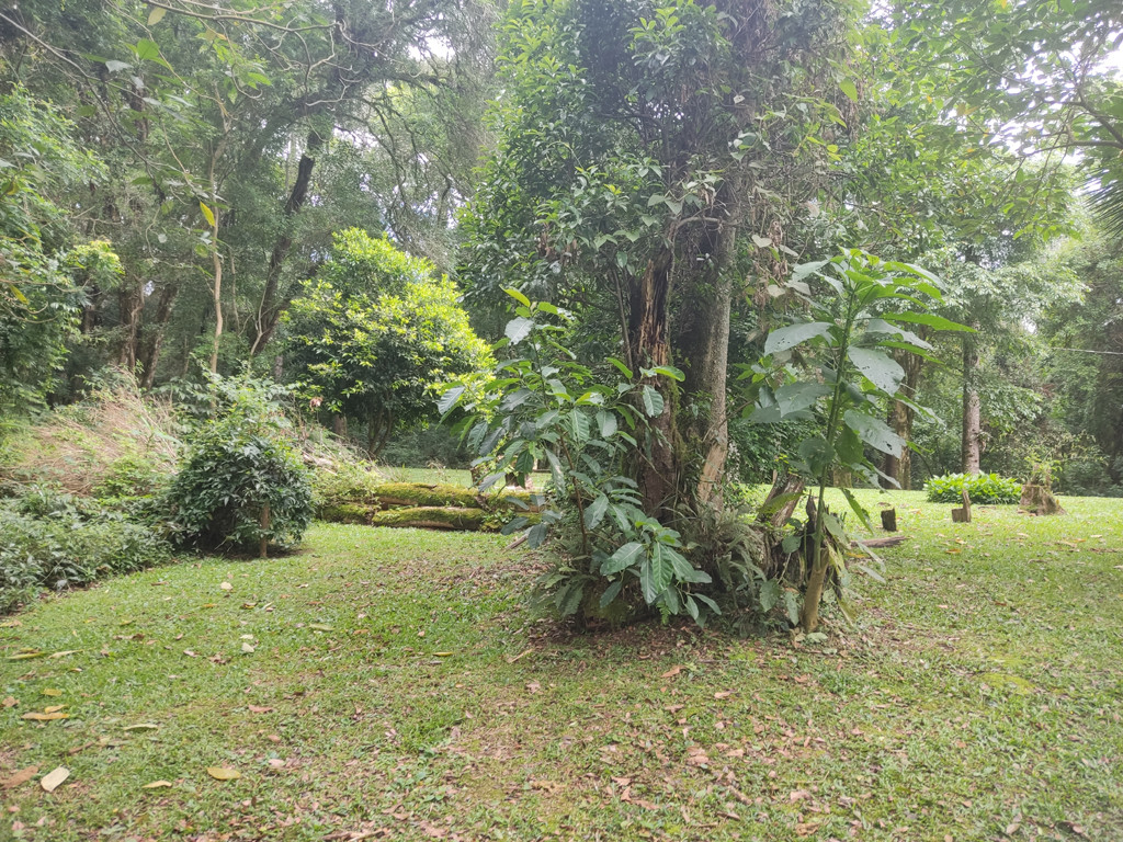 Vis&atilde;o norte - north view