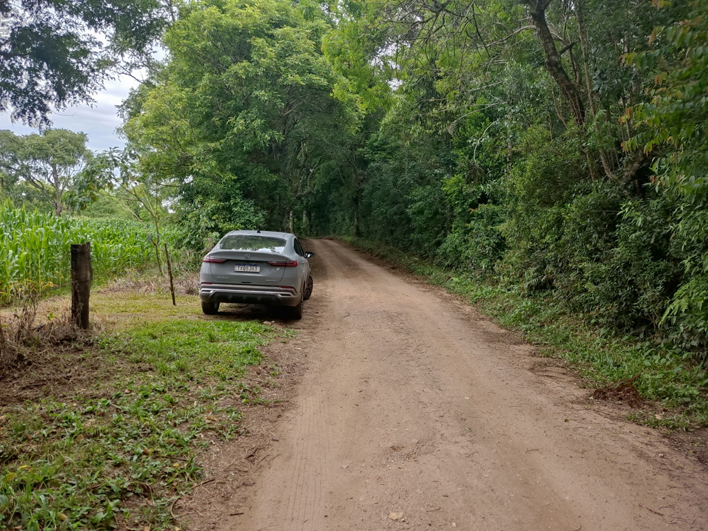 Parei o carro a 340 metros do ponto exato - I stopped the car 340 meters to the exact point