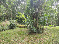 #3: Vis&atilde;o norte - north view