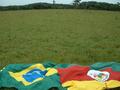 #7: Brazilian and Rio Grande do Sul state flags at confluence (northern orientation)