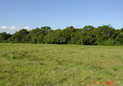 #4: General view of the place (confluence is just before the forest)