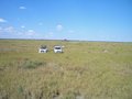 #7: The Savuti Marsh - End of cutline on horizon
