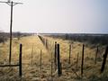 #6: Border fence taking a right angle turn