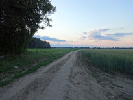 #6: Dirt field road to CP / Полевая дорога к точке