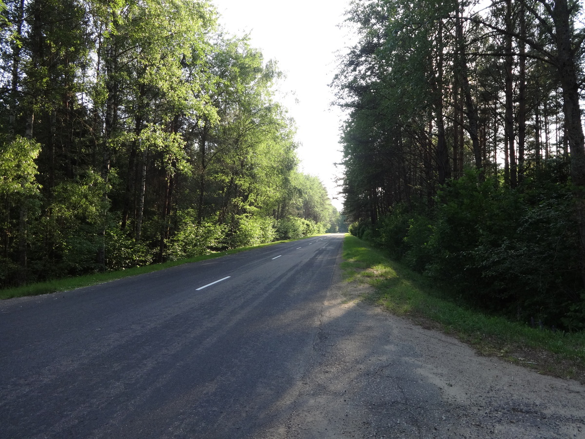 Main road to CP / Дорога к точке