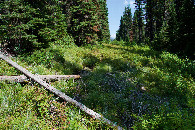 #10: The Canada-US border cut at 114 Degrees West, 135m South of the point