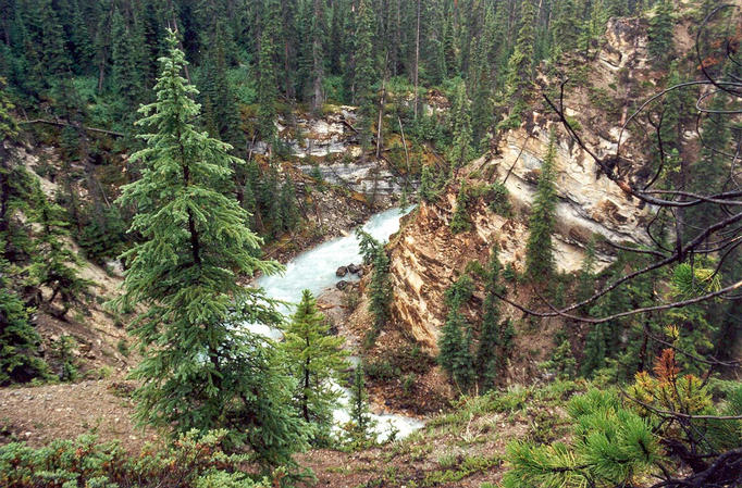 The Arctomys Creek gorge
