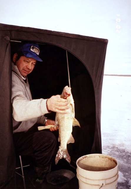 A fisherman displaying the fine whitefish he caught, 1.6km from the confluence.